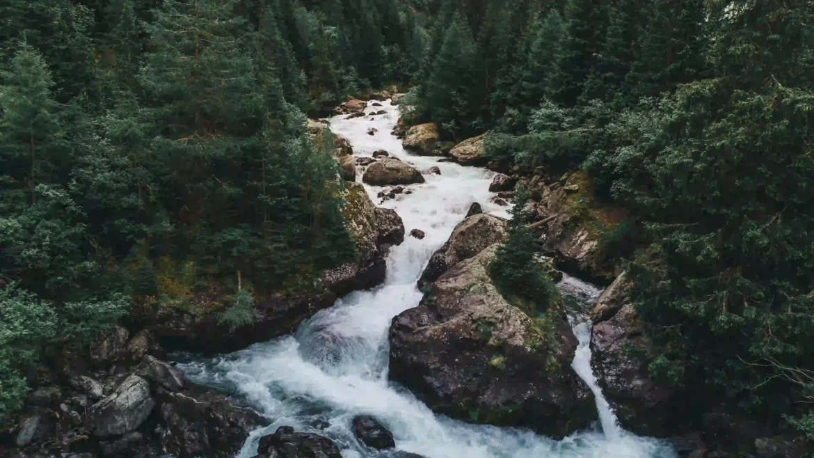 High angle view of a rushing white water river flowing through a green pine forest 4K nature wallpaper