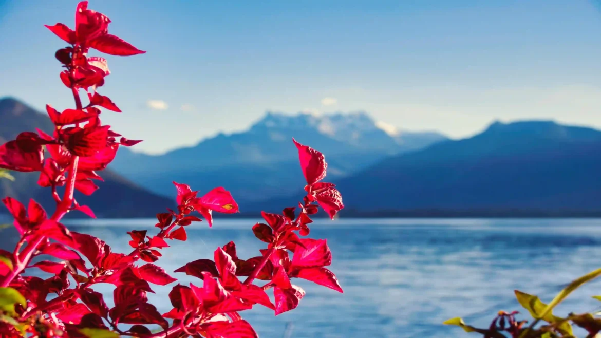 Vivid red leaves in foreground overlooking a blue alpine lake and mountains in a high-resolution 4K wallpaper