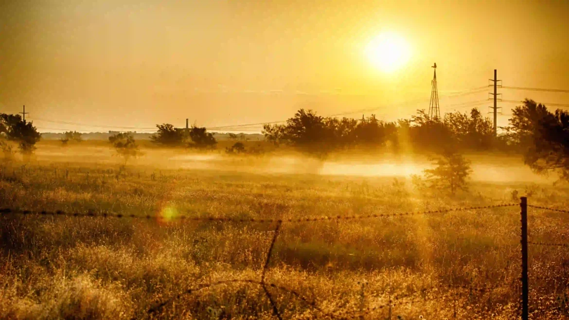 Landscape photograph of a rural field with a barbed-wire fence in the foreground covered in morning fog and golden sunrise light in a 4K wallpaper